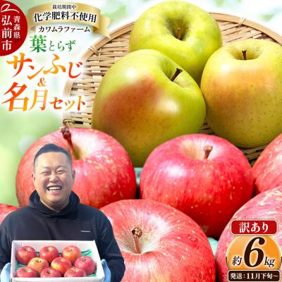 ふるさと納税 弘前市 りんご 葉とらず サンふじ&amp;名月 セット[訳あり]約6kg 先行受付|24_kmf-090601