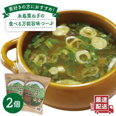 ふるさと納税 糸島市 糸島葉ねぎの食べる万能旨味つーぷ2個 糸島市/Carna [ALA047] 即席スープ インスタント