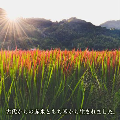 ふるさと納税 糸島市 十穀米 糸島市/Carna [ALA055] 雑穀米 雑穀 |  | 02