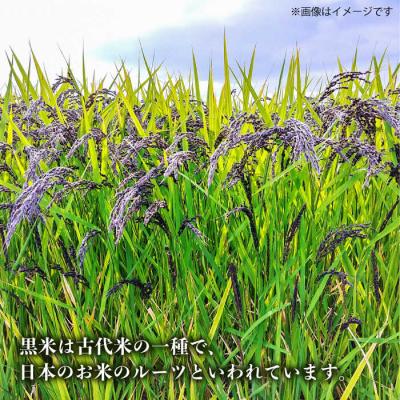 ふるさと納税 糸島市 十穀米 糸島市/Carna [ALA055] 雑穀米 雑穀 |  | 03