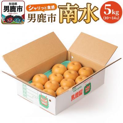 ふるさと納税 男鹿市 [令和8年度 早期受付]南水 5kg 10玉〜14玉 梨 秋田県 男鹿市|23_fre-060501