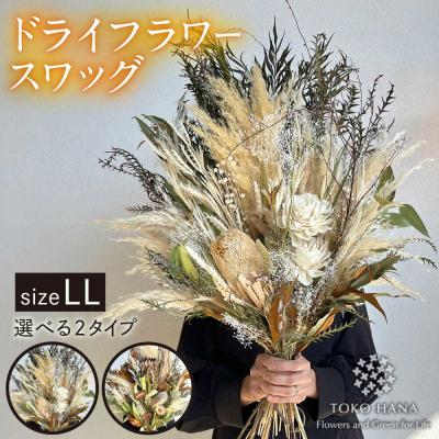 ふるさと納税 糸島市 [選べる2タイプ]ドライフラワースワッグLLサイズ 糸島/tokohana 