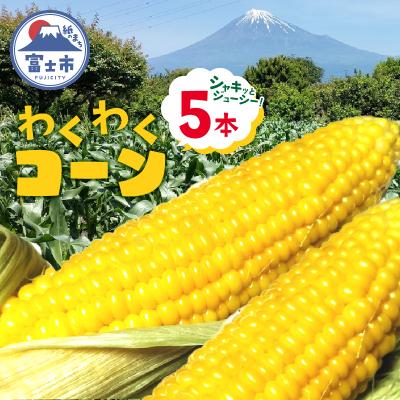 ふるさと納税 富士市 わくわくコーン(5本入) [sf001-341]