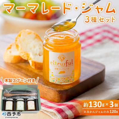 ふるさと納税 西予市 &lt;マーマレード・ジャム 3種セット&gt; 国産 愛媛県産 西宇和 マーマレード ジャム セット 3個