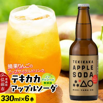 ふるさと納税 弘前市 テキカカアップルソーダ 330ml×6本|24_mye-100601