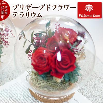 ふるさと納税 弘前市 プリザーブドフラワー テラリウム[赤]約12cm×約12cm 1個|24_sra-010101