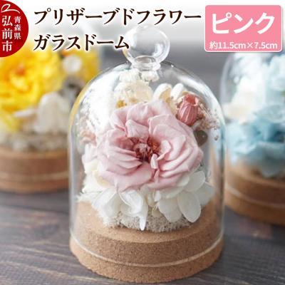 ふるさと納税 弘前市 プリザーブドフラワー ガラスドーム[ピンク]1個|24_sra-020101a