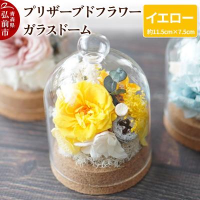 ふるさと納税 弘前市 プリザーブドフラワー ガラスドーム[イエロー]1個|24_sra-020101b