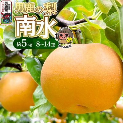 ふるさと納税 男鹿市 [先行受付]男鹿の梨 南水 約5kg 8〜14玉 梨 秋田県 男鹿市|23_mgm-020501