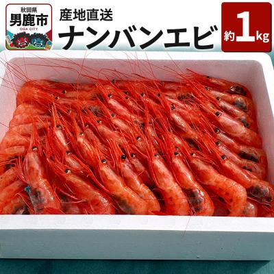 ふるさと納税 男鹿市 [先行受付 4月上旬より発送]産地直送 ナンバンエビ 約1kg!|23_mgs-051001