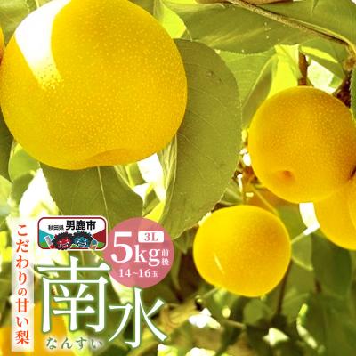 ふるさと納税 男鹿市 [先行受付]南水 梨 こだわりの甘い梨 5kg前後 3L 14〜16玉|23_nhn-050501