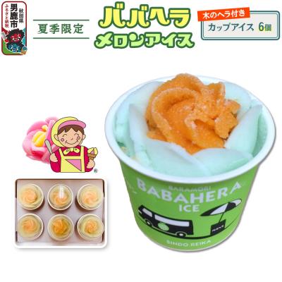 ふるさと納税 男鹿市 ババヘラ・メロンバラ盛りカップアイス6個セット[進藤冷菓]|23_sdr-030601