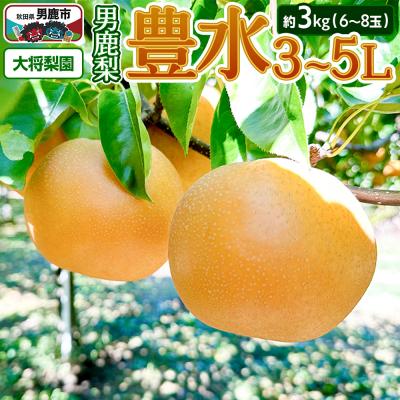 ふるさと納税 男鹿市 [先行受付]男鹿梨「大将梨園」豊水 約3kg 6〜8玉 3〜5L 梨|23_tsn-010301