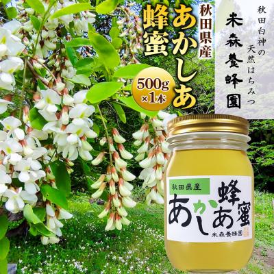 ふるさと納税 八峰町 秋田県産はちみつ あかしあ 500g×1本|16_ynm-010101