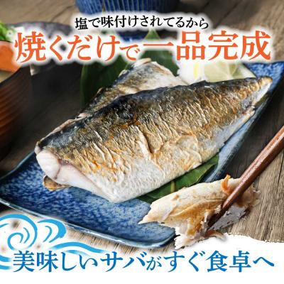 ふるさと納税 土佐清水市 訳あり 国産 塩サバ 切り身 約1kg(約6枚)味付き・冷凍[R01424]