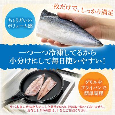ふるさと納税 土佐清水市 訳あり 国産 塩サバ 切り身 約2kg(約12枚)味付き・冷凍【R01519】 |  | 01