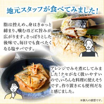 ふるさと納税 土佐清水市 訳あり 国産 塩サバ 切り身 約2kg(約12枚)味付き・冷凍【R01519】 |  | 02