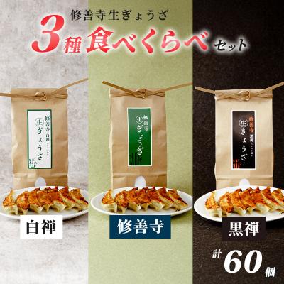 ふるさと納税 伊豆市 修善寺 生 ぎょうざ 3種 食べくらべ セット 餃子 (冷凍) 60個