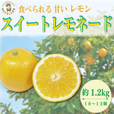 ふるさと納税 小松島市 [2026年10月順次発送] スイートレモネード 1.2kg(10~12個)