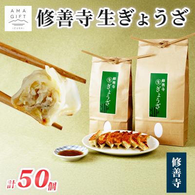 ふるさと納税 伊豆市 修善寺生ぎょうざ[修善寺](冷凍)50個入