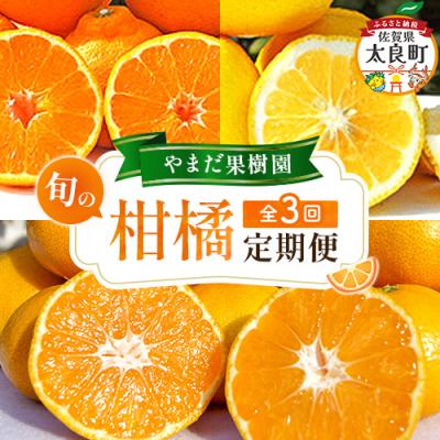 ふるさと納税 太良町 やまだ果樹園の柑橘定期便