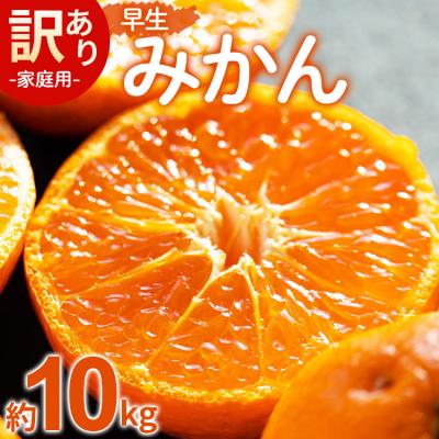 ふるさと納税 香南市 [2026年11月より順次配送]家庭用 訳あり 早生みかん 約10kg(Lサイズ) be-0116