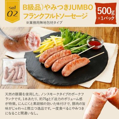 ふるさと納税 古賀市 訳あり!ソーセージ食べ比べまんぷく福袋 合計2.5kg |  | 02