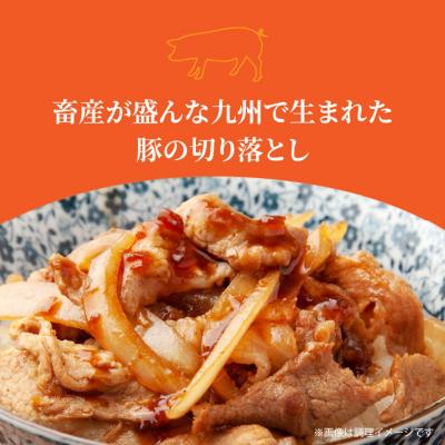 ふるさと納税 国東市 隔月でお届け! 大分県産豚大容量切り落とし定期便 3kg×3回_2554R-1 |  | 01