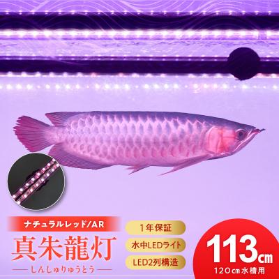 ふるさと納税 小牧市 変化を体感!水を赤くせず、紅龍だけ美しく魅せる水中LEDライト|AR120-EX[172C19]