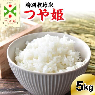 ふるさと納税 米沢市 《先行予約》※2027年2月発送分※ 【令和8年産】 特別栽培米 つや姫 5kg 〔精米〕 | 