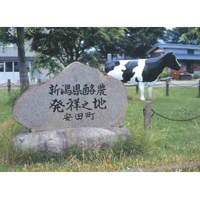 ふるさと納税 阿賀野市 ヤスダヨーグルト 新発見セット 化粧箱 直営ショップの限定品入り |  | 03
