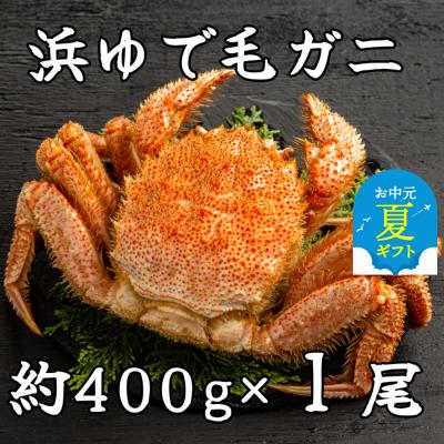 ふるさと納税 紋別市 [お中元]流氷明け浜ゆで毛ガニ約400g