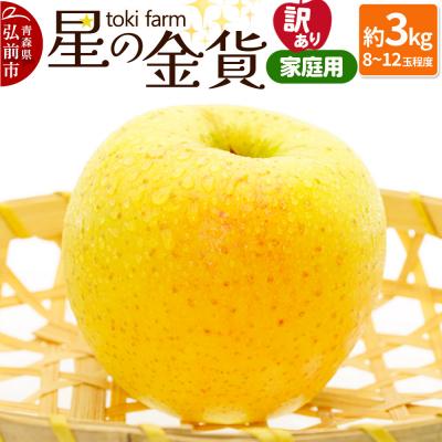 ふるさと納税 弘前市 りんご[10月〜11月クール便発送]星の金貨 約3kg 訳あり 家庭用|24_tkf-030301