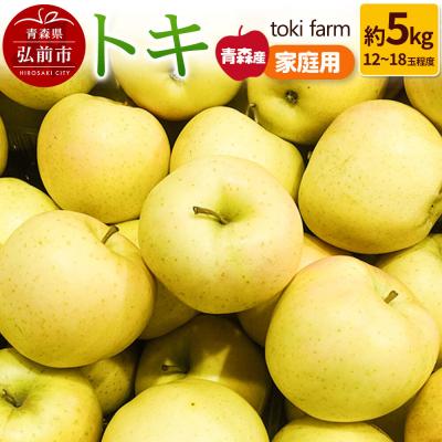 ふるさと納税 弘前市 りんご トキ 約5kg(12〜18玉程度)家庭用 toki farm|24_tkf-080501