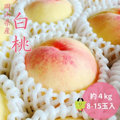 ふるさと納税 和気町 白桃 岡山 秀品 大玉 約4kg 8-15玉 土-17