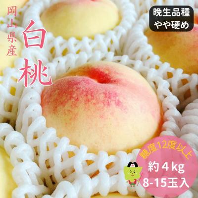 ふるさと納税 和気町 白桃 特秀 ロイヤル 大玉 晩生品種 4kg 土-19