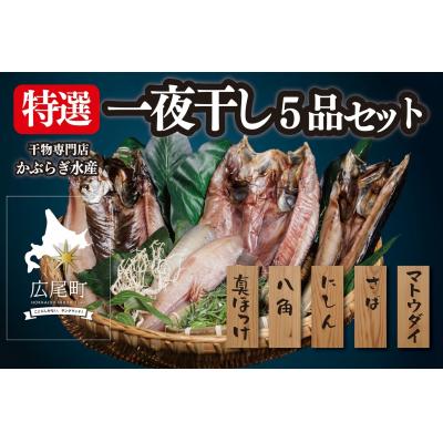 ふるさと納税 広尾町 干物専門店かぶらぎ水産の特選一夜干し5品セット(J0031) | 