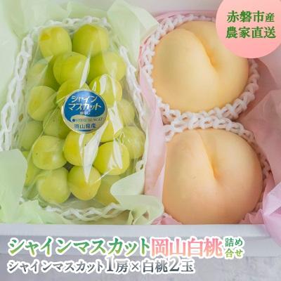 ふるさと納税 赤磐市 シャインマスカット 大房 1房 白桃 2玉 詰合せ 合計約1.3kg [NO5765-1304]