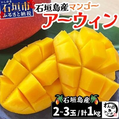 ふるさと納税 石垣市 &lt;わんのマンゴー&gt;石垣島産マンゴー アーウィン種 合計1kg &lt;2026年4月以降発送&gt;
