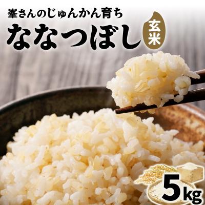 ふるさと納税 岩見沢市 令和7年産!岩見沢産 特別栽培米 峯さんの「ななつぼし」玄米5kg
