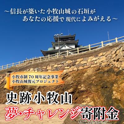 ふるさと納税 小牧市 信長が築いた小牧山城の石垣があなたの応援で現代によみがえる 夢・チャレンジ寄附金 [999CF01]