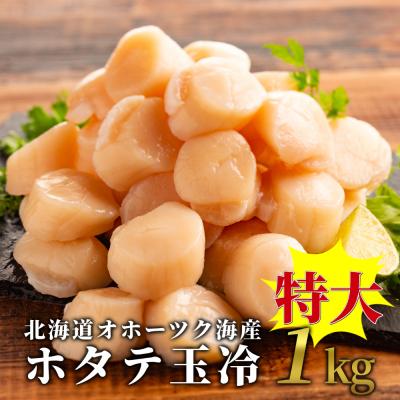 ふるさと納税 紋別市 北海道オホーツク海産ホタテ玉冷特大(1kg) |刺身用 大玉 | 