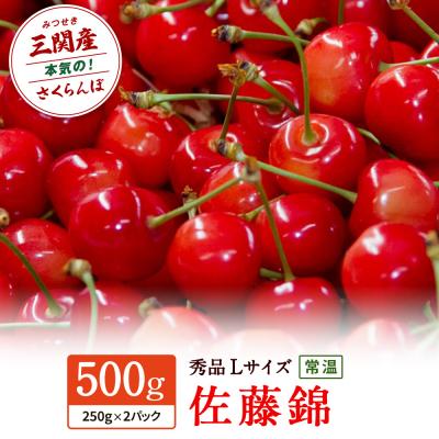 ふるさと納税 湯沢市 [先行予約]三関産 さくらんぼ 佐藤錦 500g 秀品 Lサイズ 常温 果物 [B3-3201]