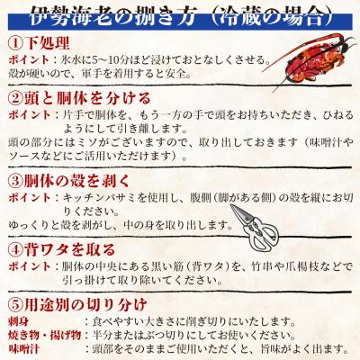 ふるさと納税 香南市 活き伊勢海老 1kg(1〜5匹) 冷蔵 - 刺身 エビ えび 魚介 おがくず入り eb-0056 |  | 02