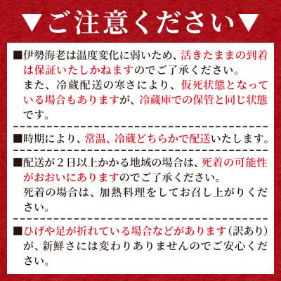 ふるさと納税 香南市 活き伊勢海老 1kg(1〜5匹) 冷蔵 - 刺身 エビ えび 魚介 おがくず入り eb-0056 |  | 03