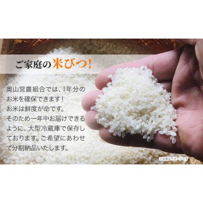 ふるさと納税 笠岡市 【令和8年産 先行受付】白米 ひのひかり 笠岡産 5kg太陽の恵み O-16a_5kg_白米 |  | 02
