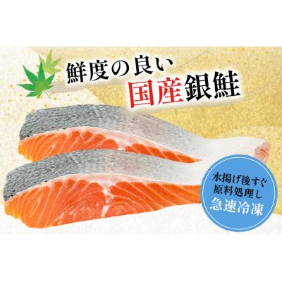 ふるさと納税 気仙沼市 訳あり 国産 減塩 厚切り 塩銀鮭 切身 計 2.4kg [20566369]鮭 サーモン 鮭切り身 |  | 01