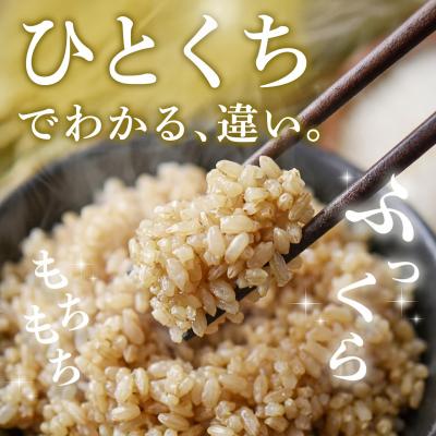 ふるさと納税 神埼市 【令和7年産】さがびより 玄米 5kg 農園(H061E62) |  | 01