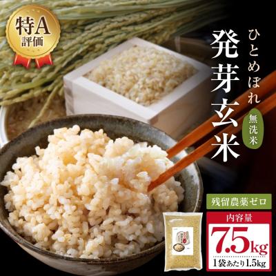 ふるさと納税 玖珠町 特Aひとめぼれ米 残留農薬ゼロ 発芽玄米 1.5kg×5袋(7.5kg) 令和7年産 | 