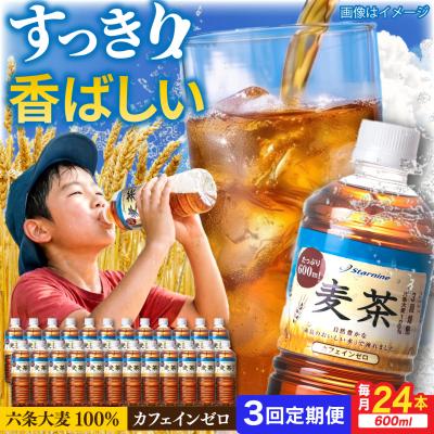 ふるさと納税 糸島市 【全3回定期便】麦茶600ml×24本 スターナイン お茶 ペットボトル[ARM018] | 